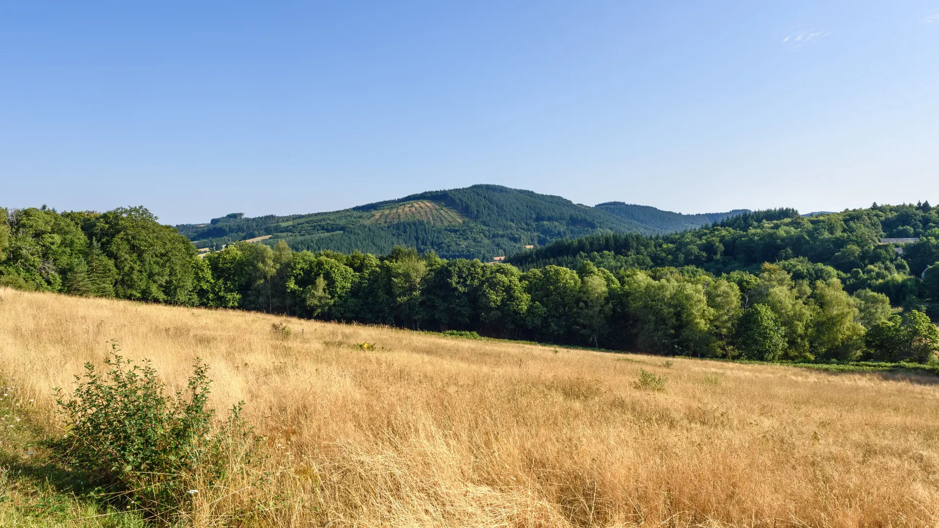 Vue du Mont-Ceix - Chamberet © Benoit Charles  (2)
