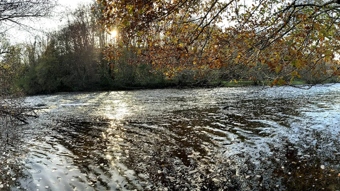 Vue panoramique du secteur aval de la filterie de Brignac