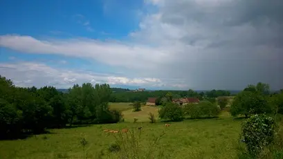 Vue1