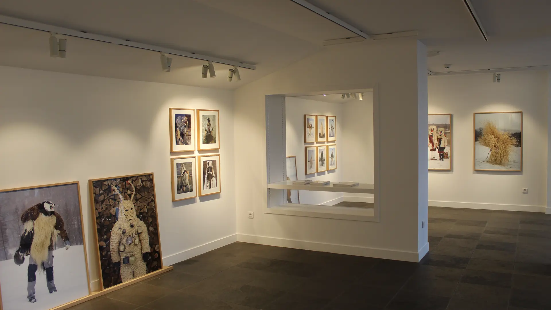 Vues_Expo_WilderMann_CharlesFreger_2024_oct à déc (7)