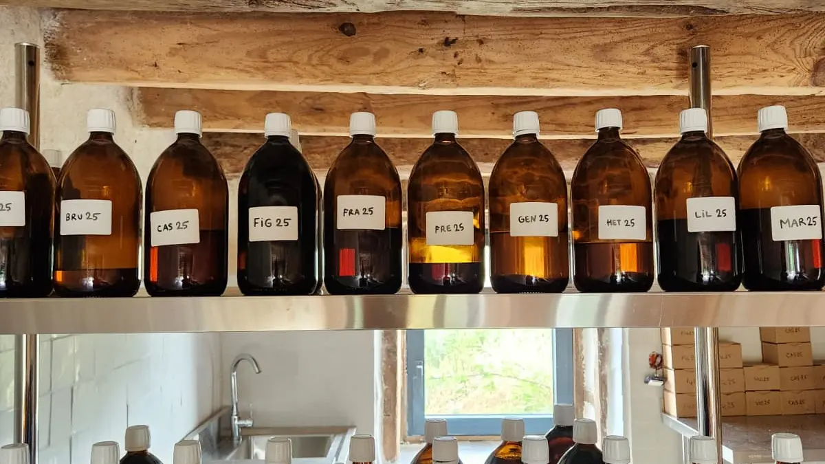 Laboratoire de transformation