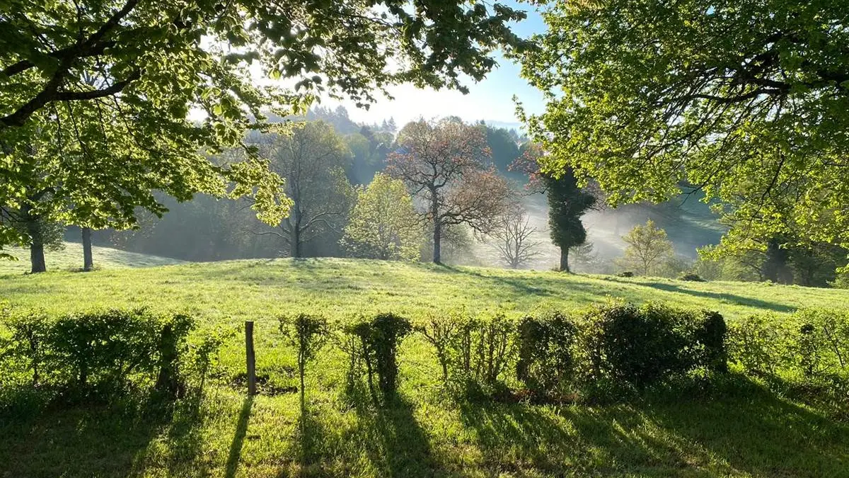 WhatsApp-Image-20230508-at-145823