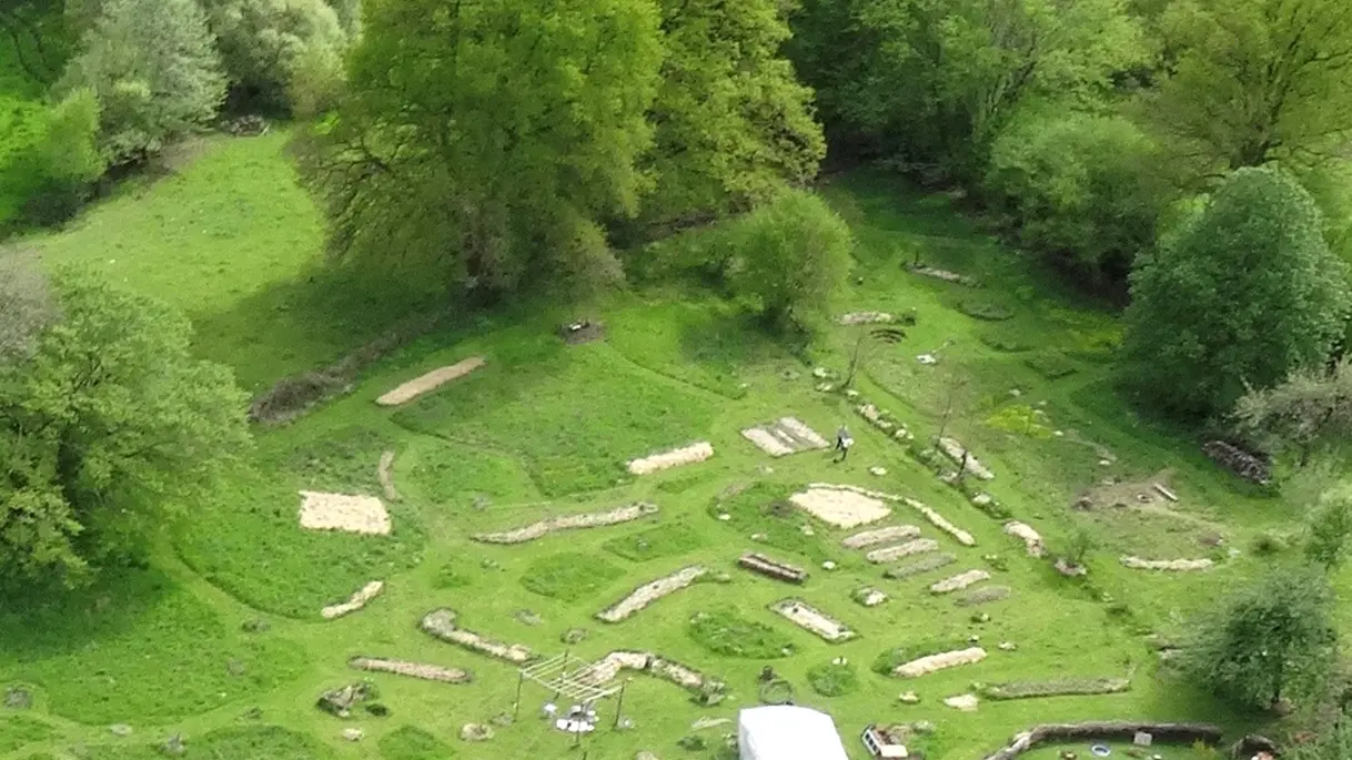 Forêt Jardin du Petit Chavanat