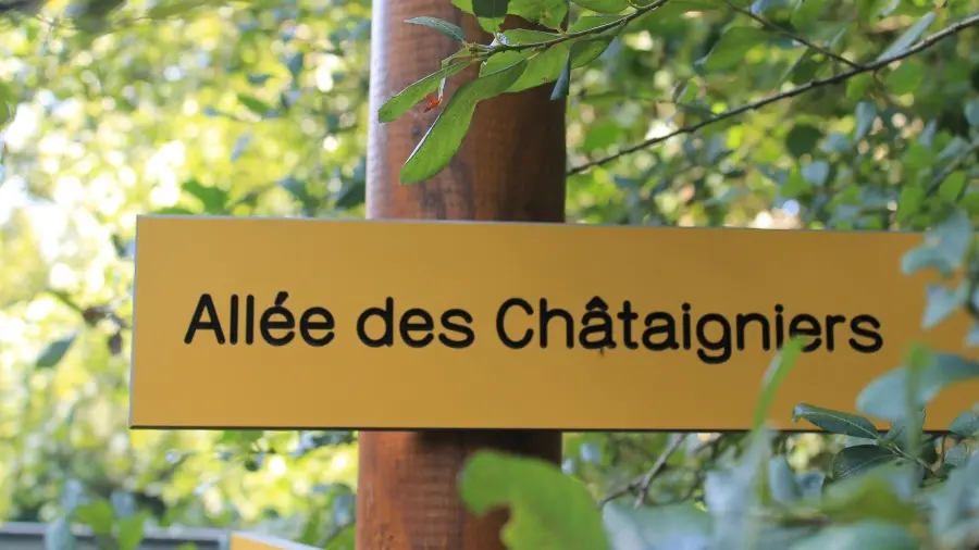 alleechataigniers