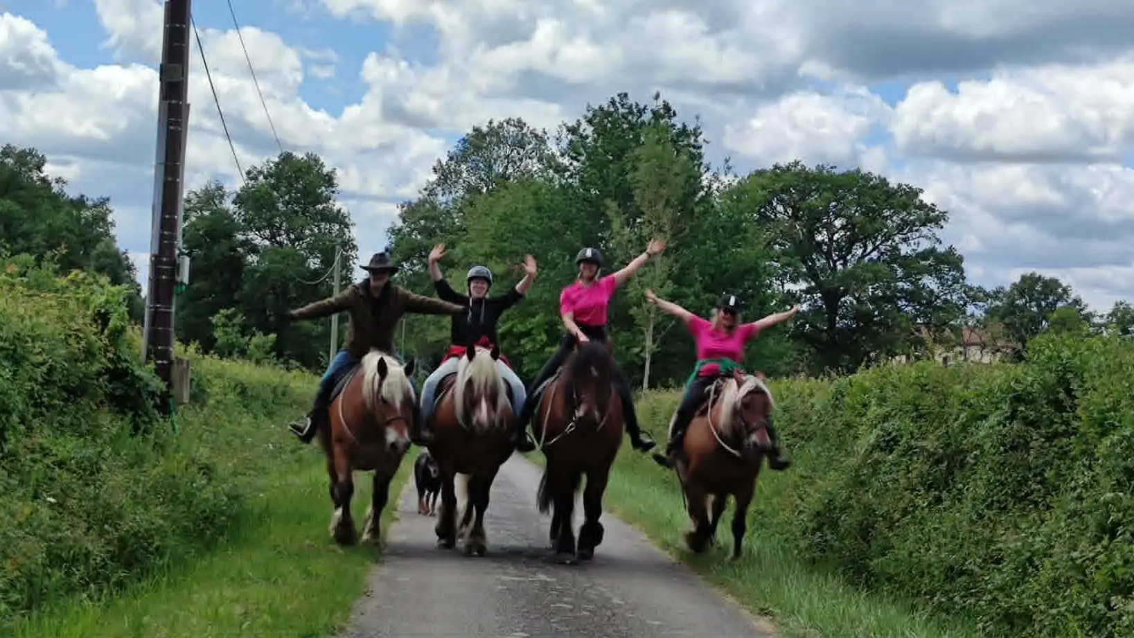 Rencontre avec les chevaux du Clos de l’Isop