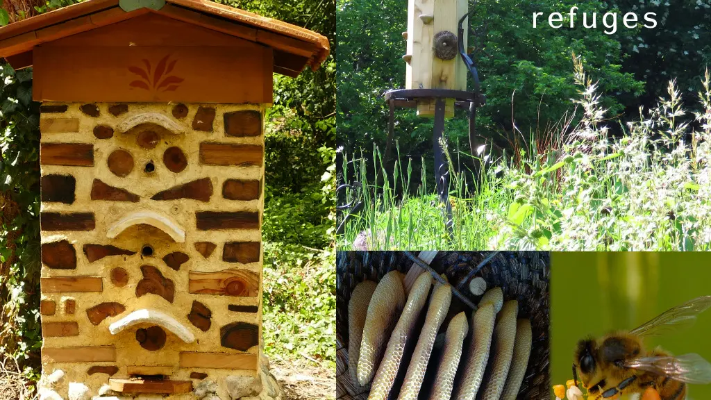 ruche refuge