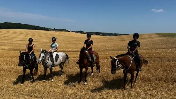 balade dans les blés