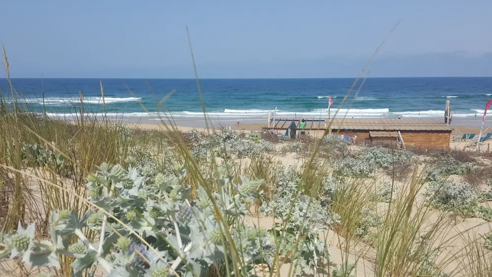 baladesurladune-seignossetourisme 24