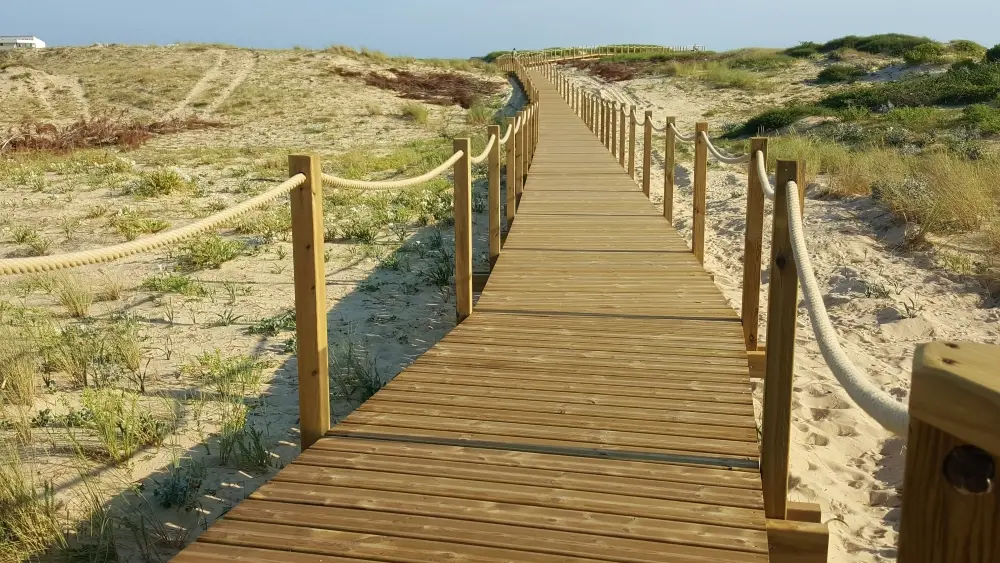 baladesurladune-seignossetourisme 38