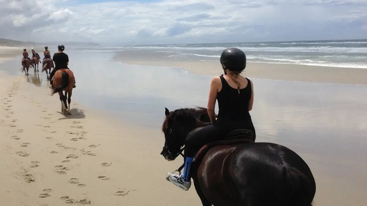 L'appaloosa-Capbreton-OTILAS