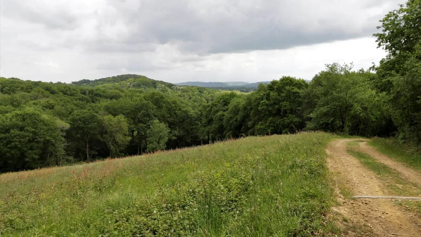 Aire de pique- nique - Beyrie en Béarn - le site 4