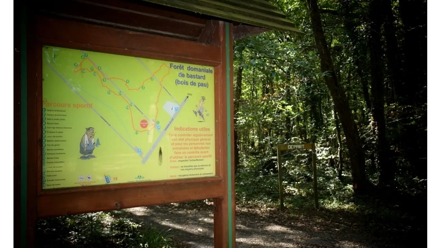 Forêt domaniale de Bastard - Pau - Plan parcours sportif