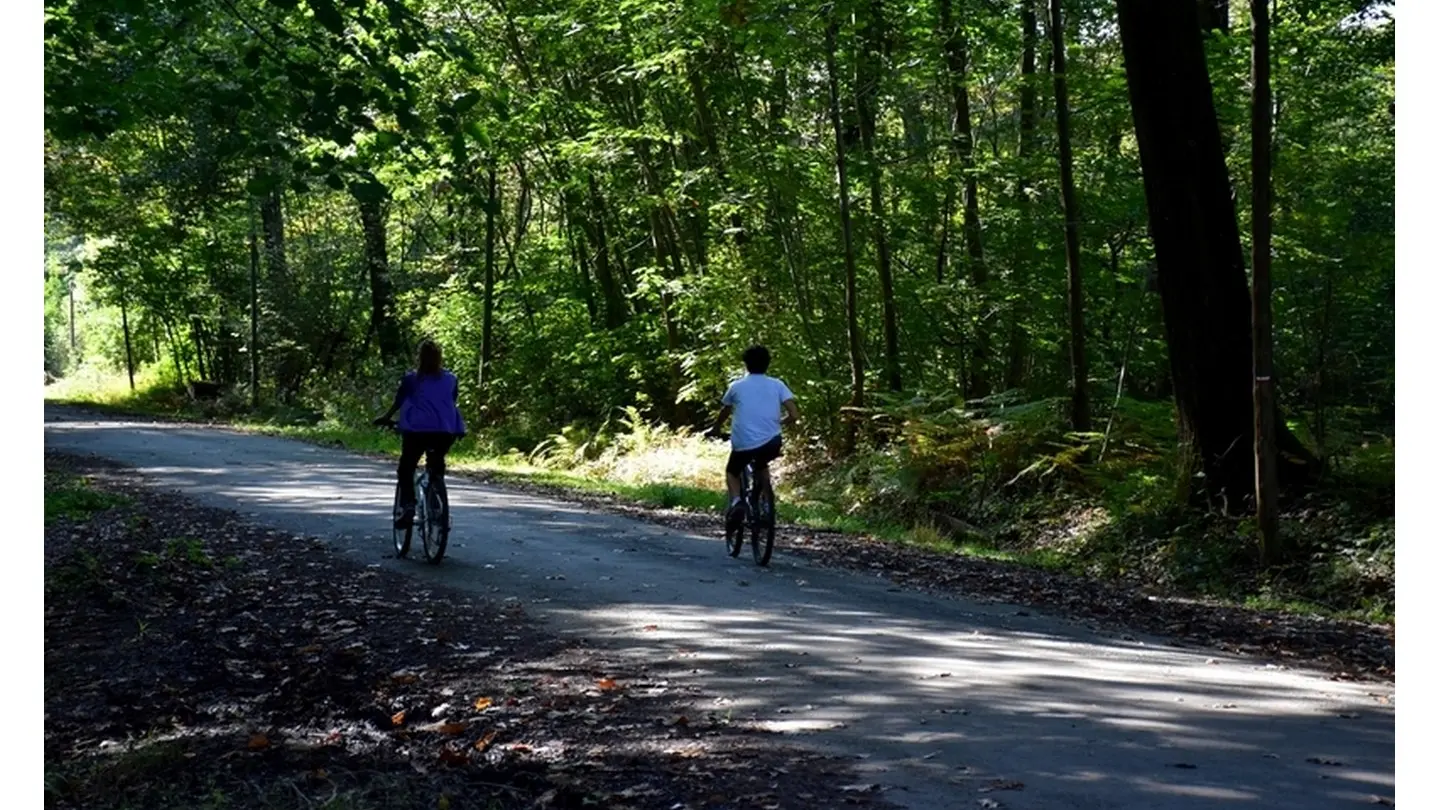 Forêt domaniale de Bastard - Pau - Promeneurs à vélo