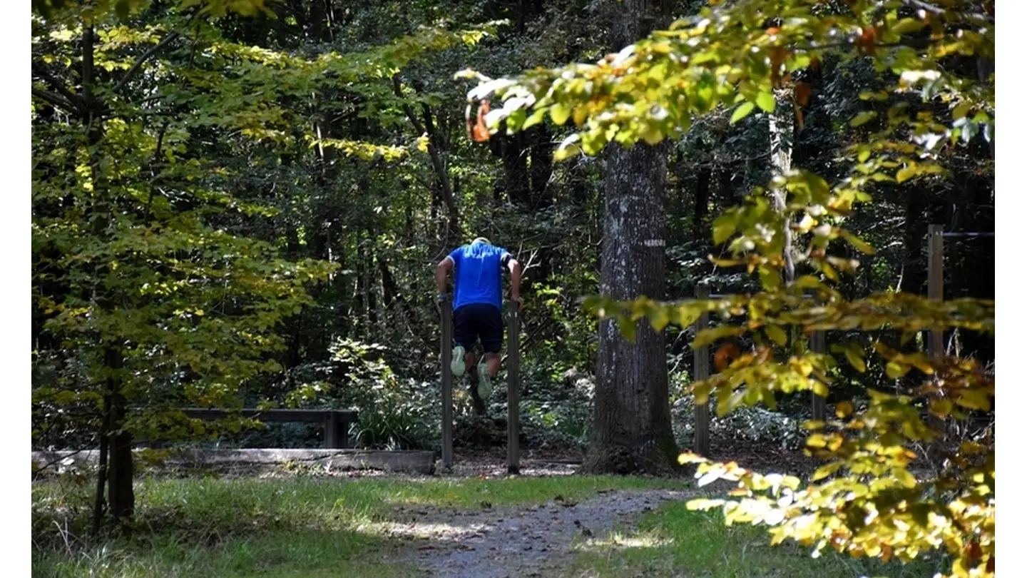 Forêt domaniale de Bastard - Pau - Sportif