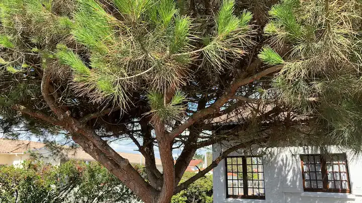 c72cddee-4226-4623-b507-0462a6811203