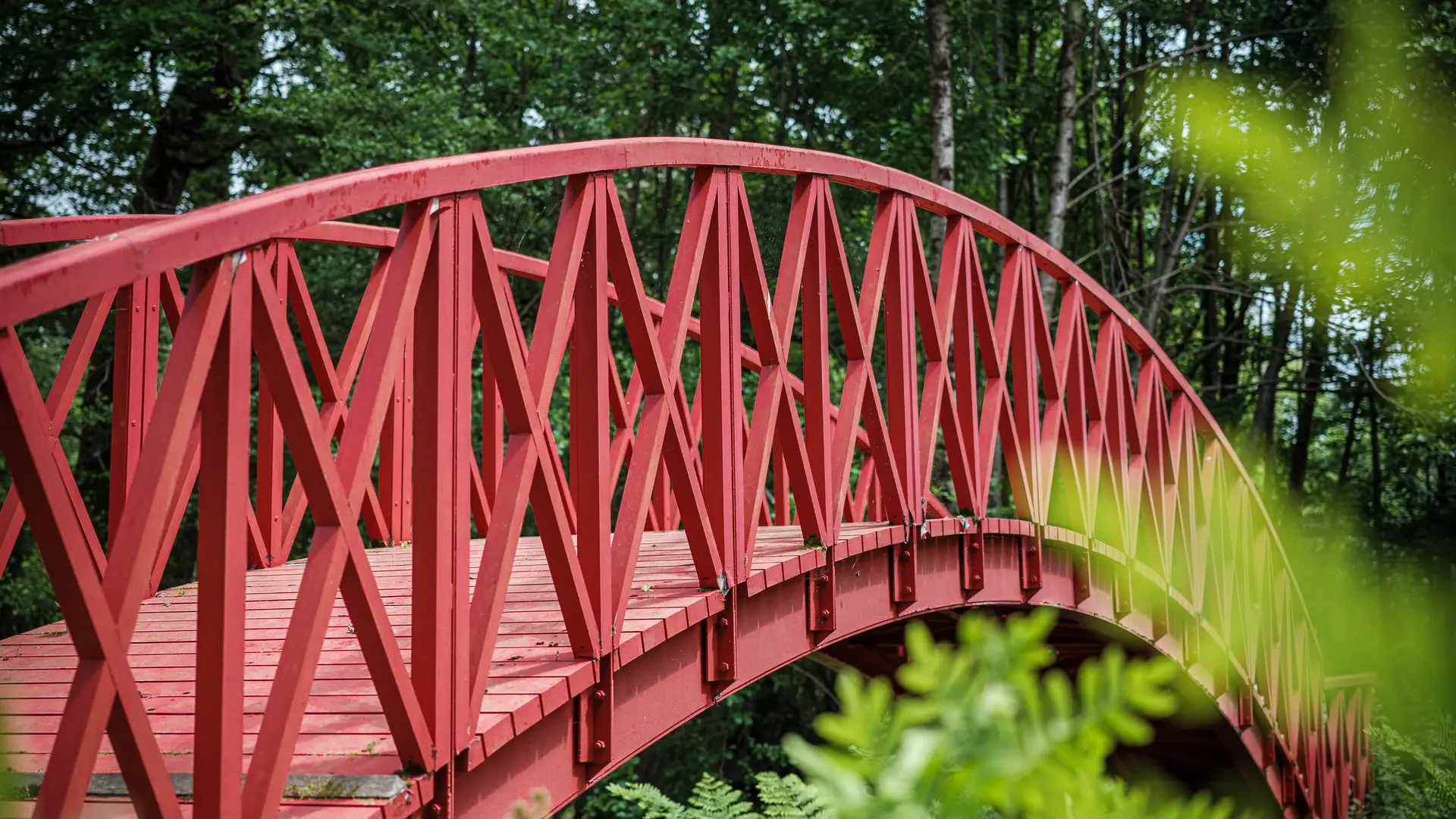 cantemerle_©bricebraastad_240528_2995