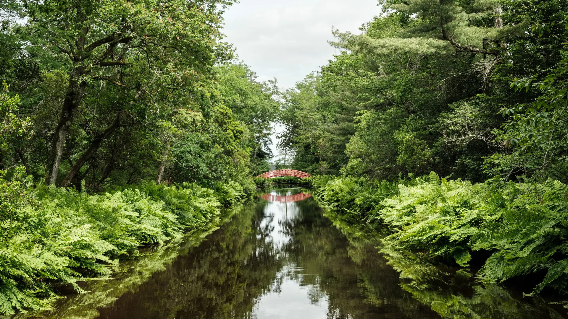 cantemerle_©bricebraastad_240528_3011