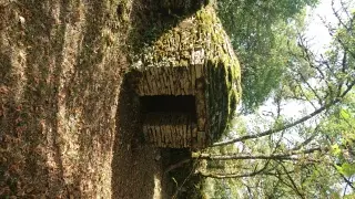 cabane de la Louise.jpg1