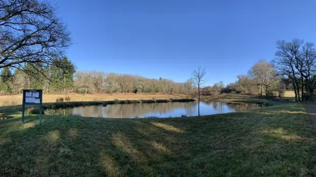 Carpodrome du Rochelot - Saint-Brice-sur-Vienne