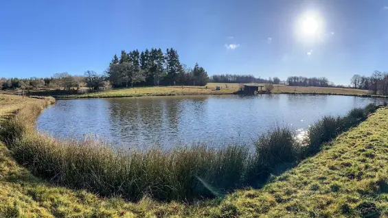 Carpodrome du Rochelot - Saint-Brice-sur-Vienne