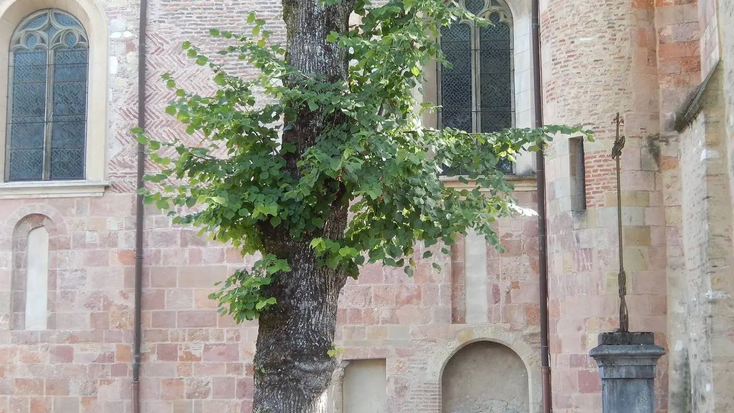 Terra Aventura - Lescar - La Cathédrale