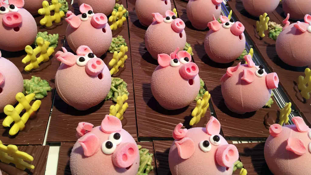 chocolaterie-lamy-brive-8