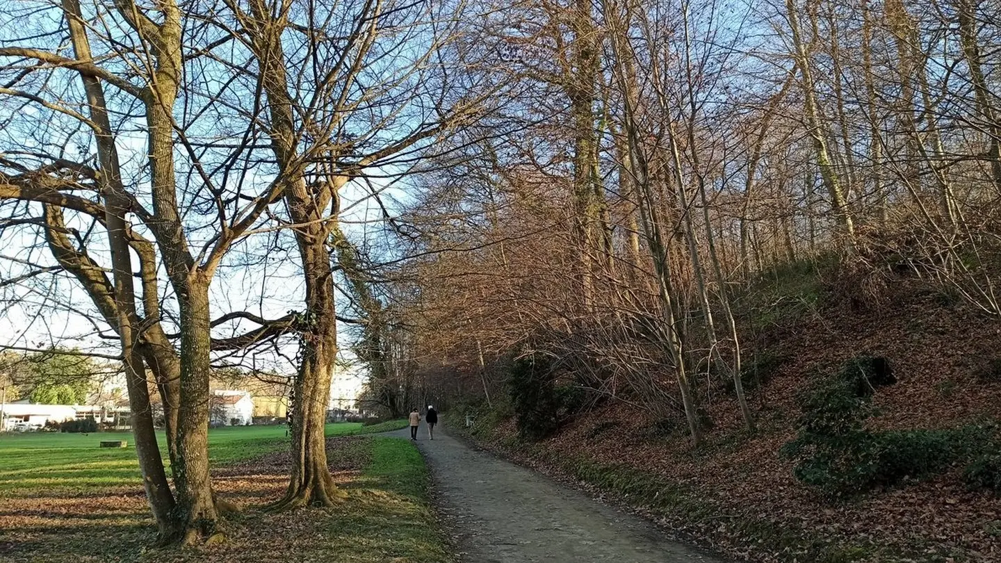 Parc du Château - Pau - en hiver