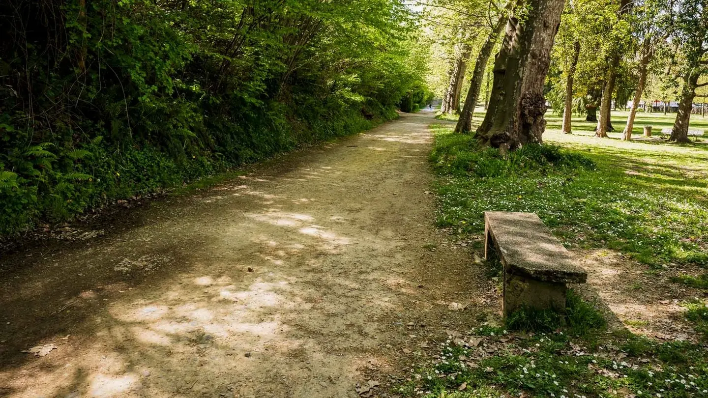 Parc du Château - Pau - allée 1