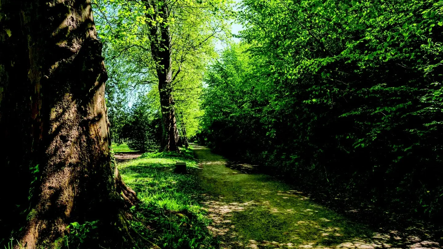 Parc du Château - Pau - allée 2