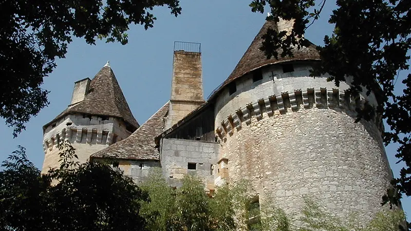 chateau-de-lanquais3