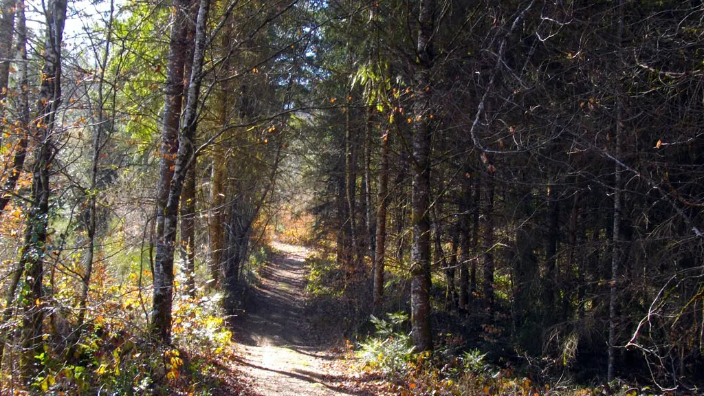 chemin