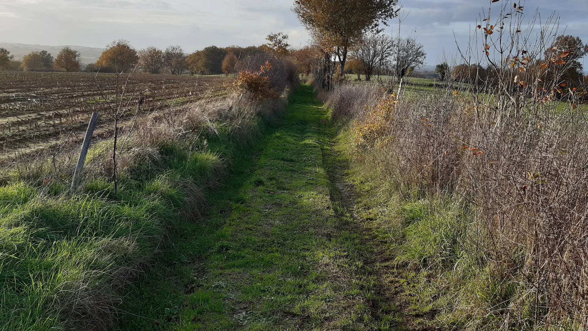 chemin creux