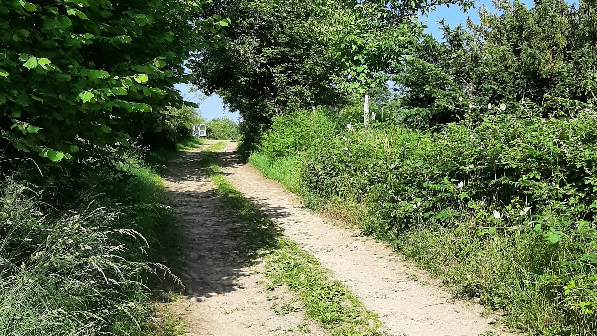 chemin accescamping