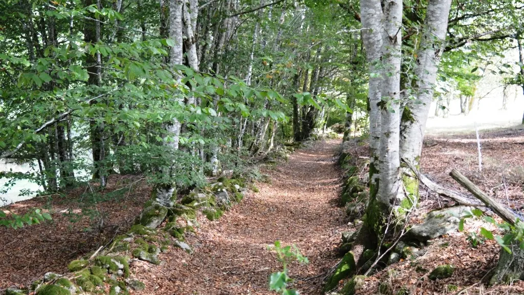 chemin_muret