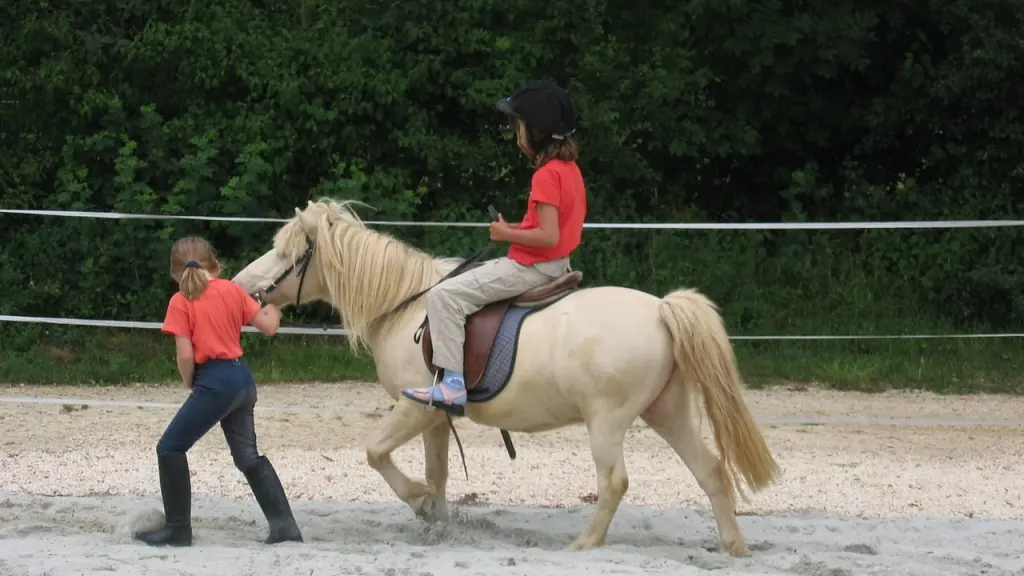 Equitation