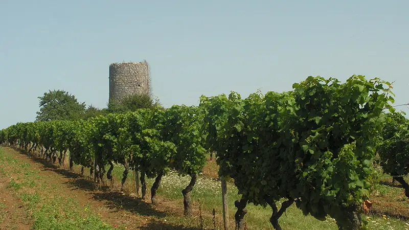colombier_vue2
