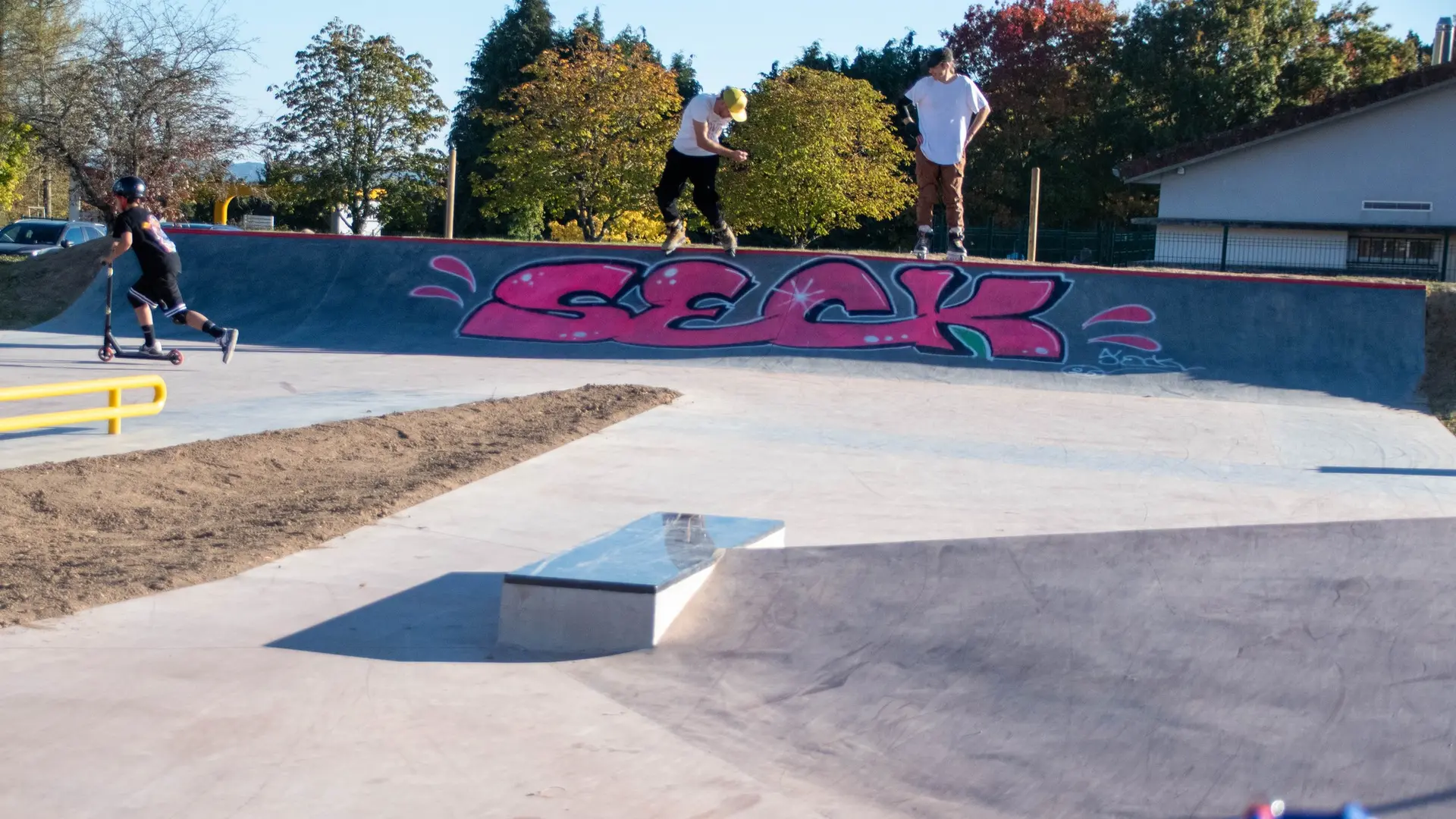 couzeix skate