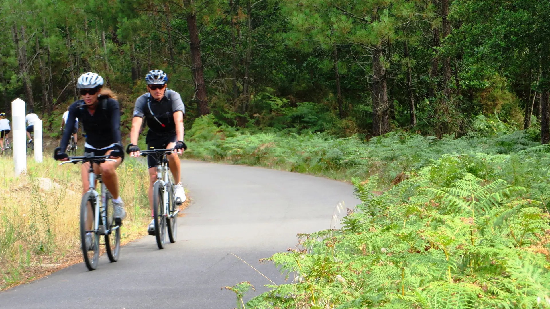sur la vélodyssée