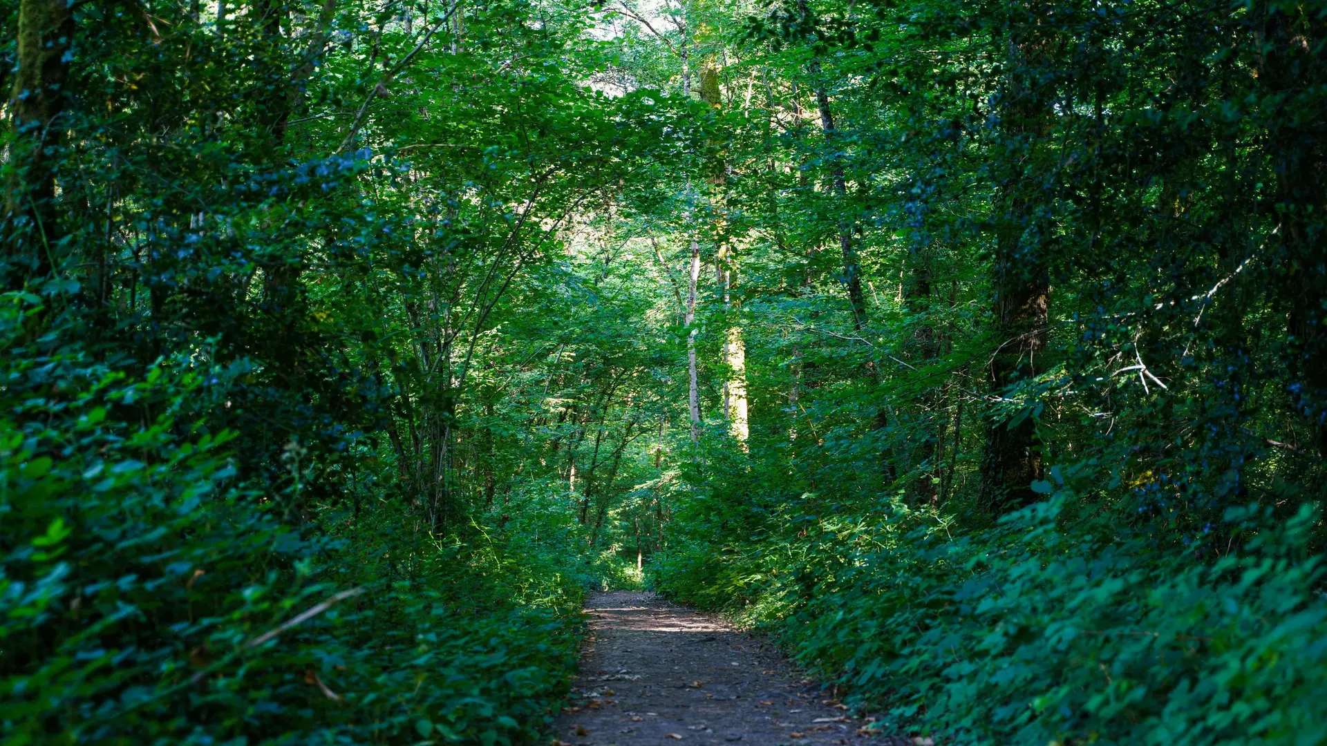 csm_domaine-Ligoure-25-min_66cdf5fa26