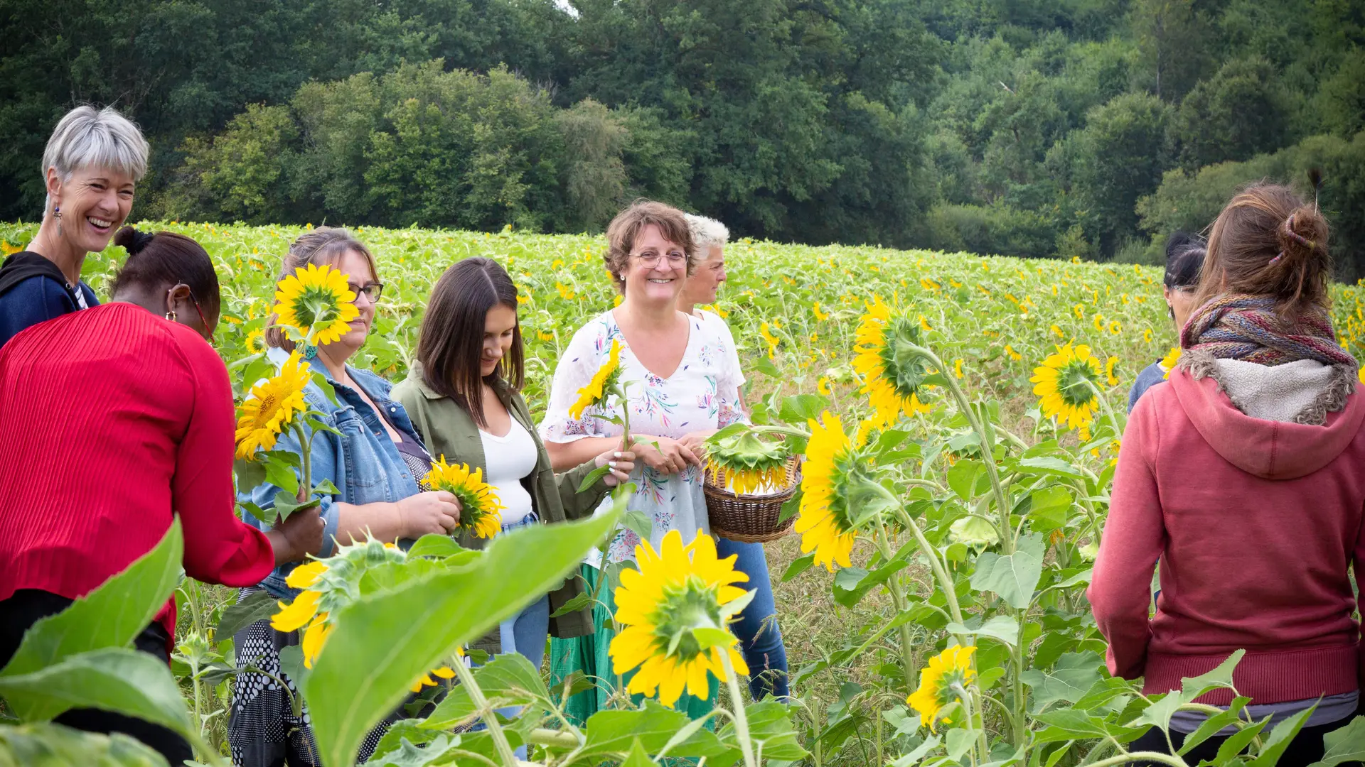 departement-haute-vienne-87-ferme-fardissou-2022-maxime-authier (40)