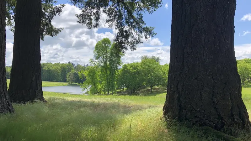 Domaine de Bort