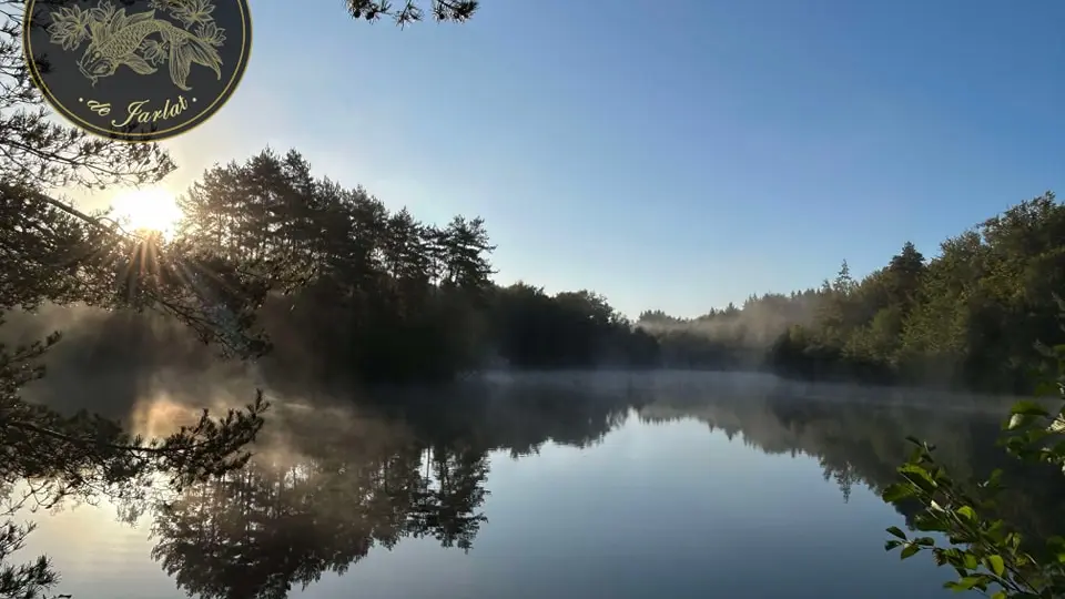 Etang - Domaine Jarlat