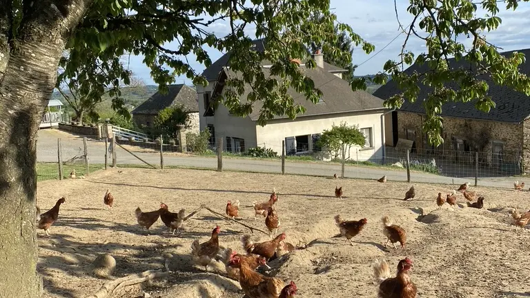 du nid à l'assiette 1