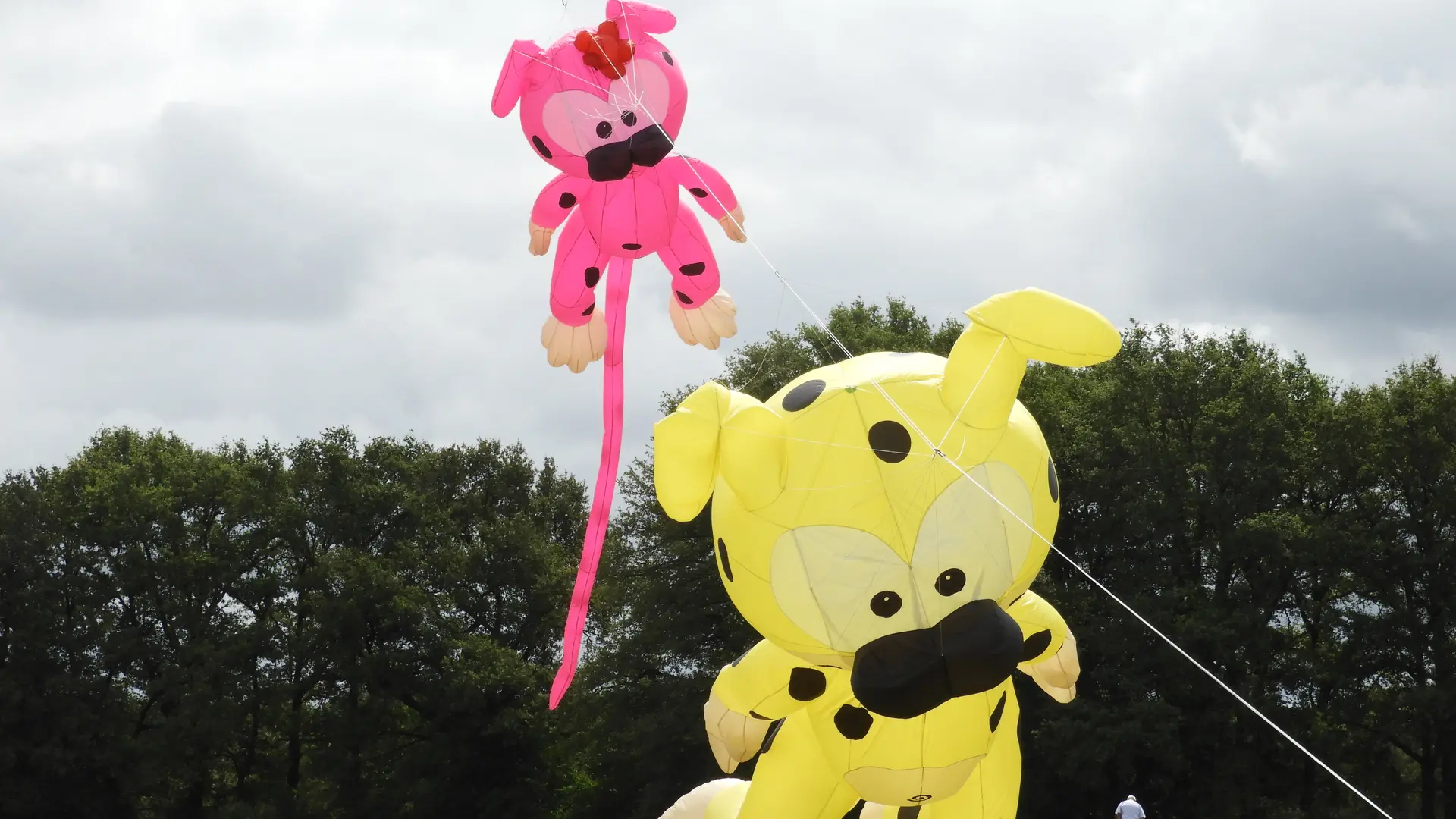 Duo de marsipulamis géants  credit Estivol