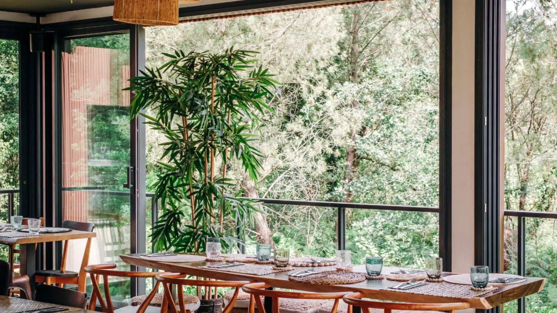 OT Hossegor - HEJMO - el-nido-restaurant-hejmo-hossegor-salle-vue-foret