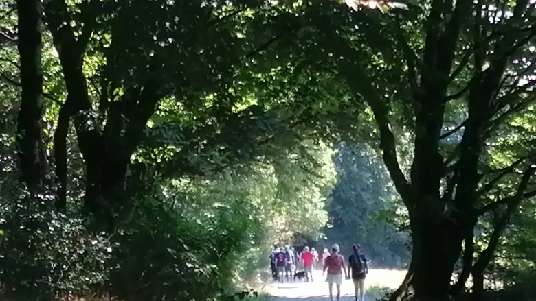 en descendant du Mont Gargan