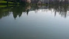 etang-1