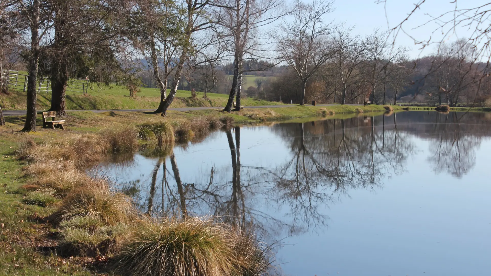 étang de pêche de la planche à 7km de Saint Léonard de Noblat