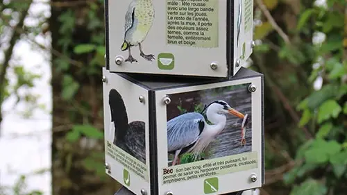 eymet-escourou-oiseau2