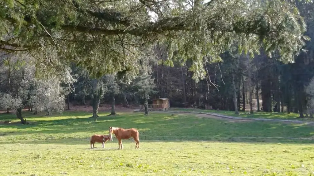 f46a31e1-dc9a-4f22-bbc8-f8b7fd9fa149